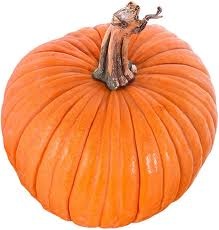 Pumpkin; Courtesy of Boreal.org