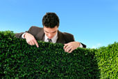 Hedge Fund