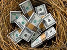 Image: Bundles of US one hundred dollar bills in bird Â© Don Farrall/Photodisc/Getty Images