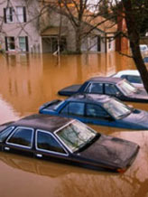 Image: Parked cars partially submerged in flood water © Rich Iwasaki/Getty Images