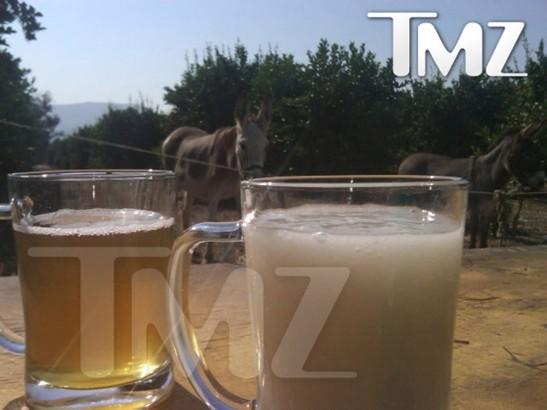 TMZ