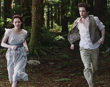 From the "New Moon" movie tie-in book